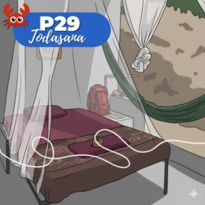 P29 Todasana sin piscina cerca de la playa