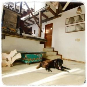 Posada la Cigala en los Roques