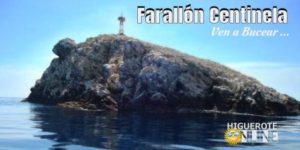 Farallón Centinela. Ven a Bucear con nosotros