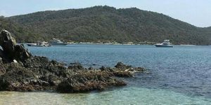 Los Nuevos FullDay de Lancha Deportiva en  Higuerote