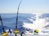 Full Day de Pesca en Higuerote