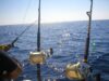 La Pesca Tipo Trolling