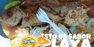 Se puede comer en la Playa o no se Puede