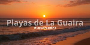 Sol, Arena y Sabor Guaireño: Descubre las Playas Imperdibles de La Guaira