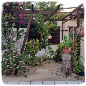 Posada La Terraza Los Roques